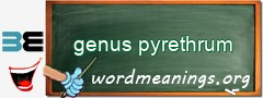 WordMeaning blackboard for genus pyrethrum